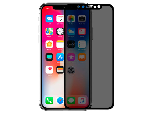 Защитная пленка Nillkin 3D AP+ PRO Glass Privacy Protector для Apple iPhone X (черная, тонированная)