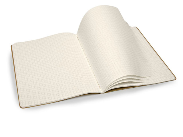 Записная книжка Moleskine Evernote Journals (210x130 мм, бежевая, клетка, набор 2 шт по 80 страниц)