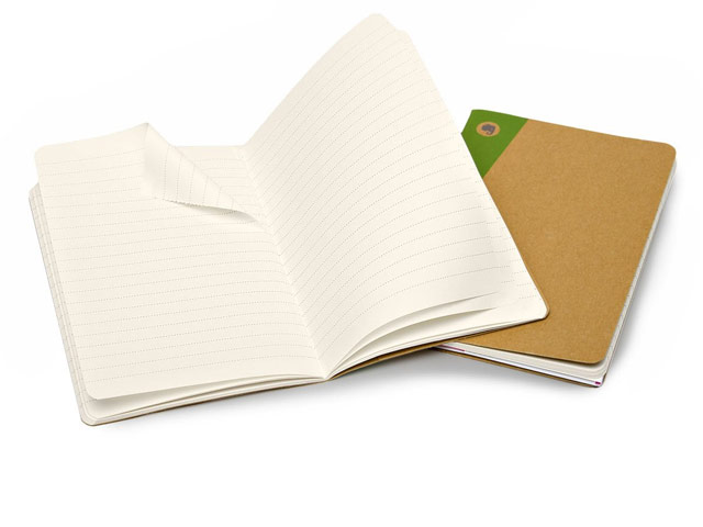 Записная книжка Moleskine Evernote Journals (90x140 мм, бежевая, линейка, набор 2 шт по 80 страниц)